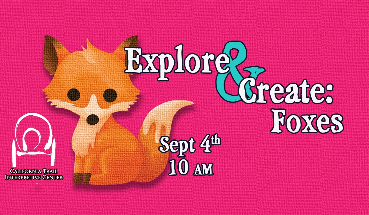 Explore & Create: Foxes