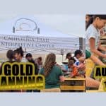 Gold Panning
